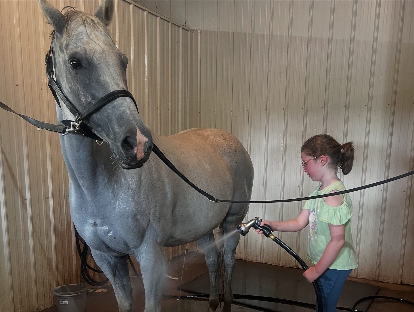 Summer camp kid giving a horse a bath